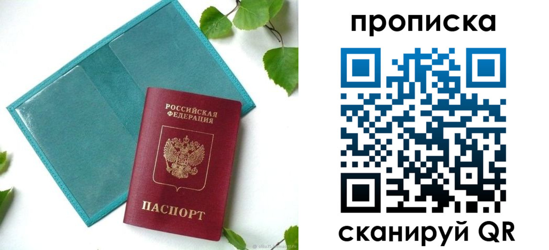 прописка штамп в Черноголовке